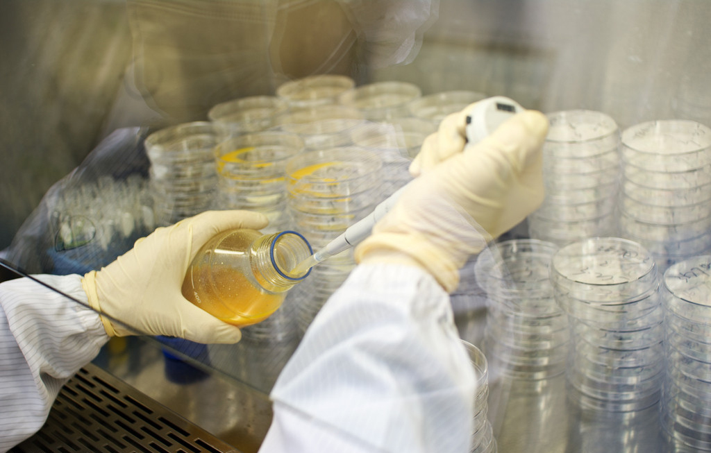 yy易游(中国)体育-米乐官方网站