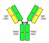 yy易游(中国)体育-米乐官方网站