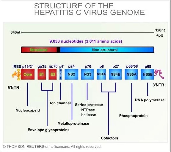 yy易游(中国)体育-米乐官方网站