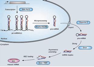 yy易游(中国)体育-米乐官方网站