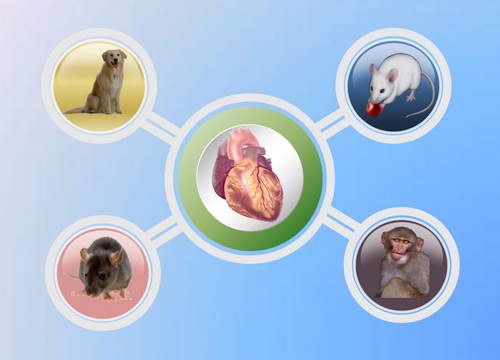 yy易游(中国)体育-米乐官方网站