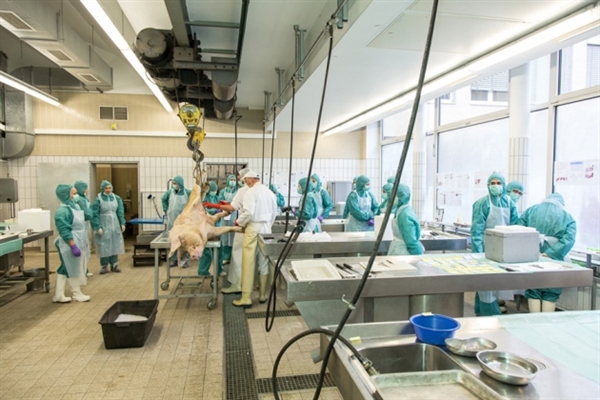 yy易游(中国)体育-米乐官方网站