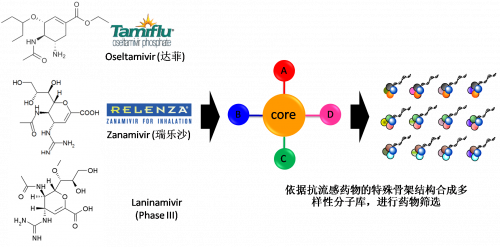 图2：以现有抗流感药物的结构为基础，，，，，，，举行多样性药物分子库的合成。。。。。。。。