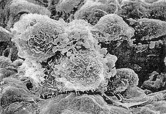 yy易游(中国)体育-米乐官方网站