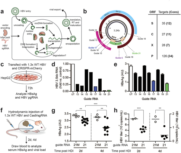 yy易游(中国)体育-米乐官方网站