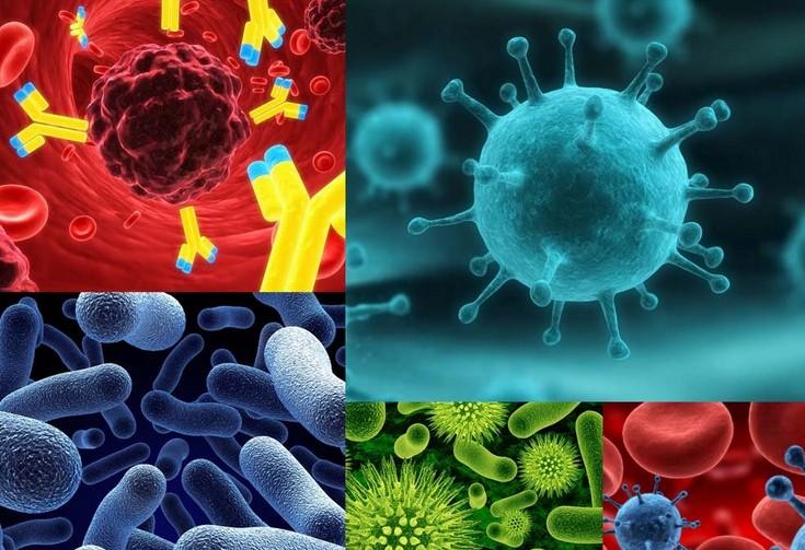 原位杂交手艺的基本流程有哪些？？？？？？？？