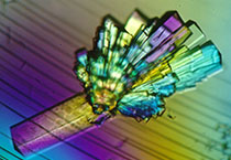 PD-1抑制剂成“抗癌神器”，，，，，海内外企业希望怎样？？？？？？？？