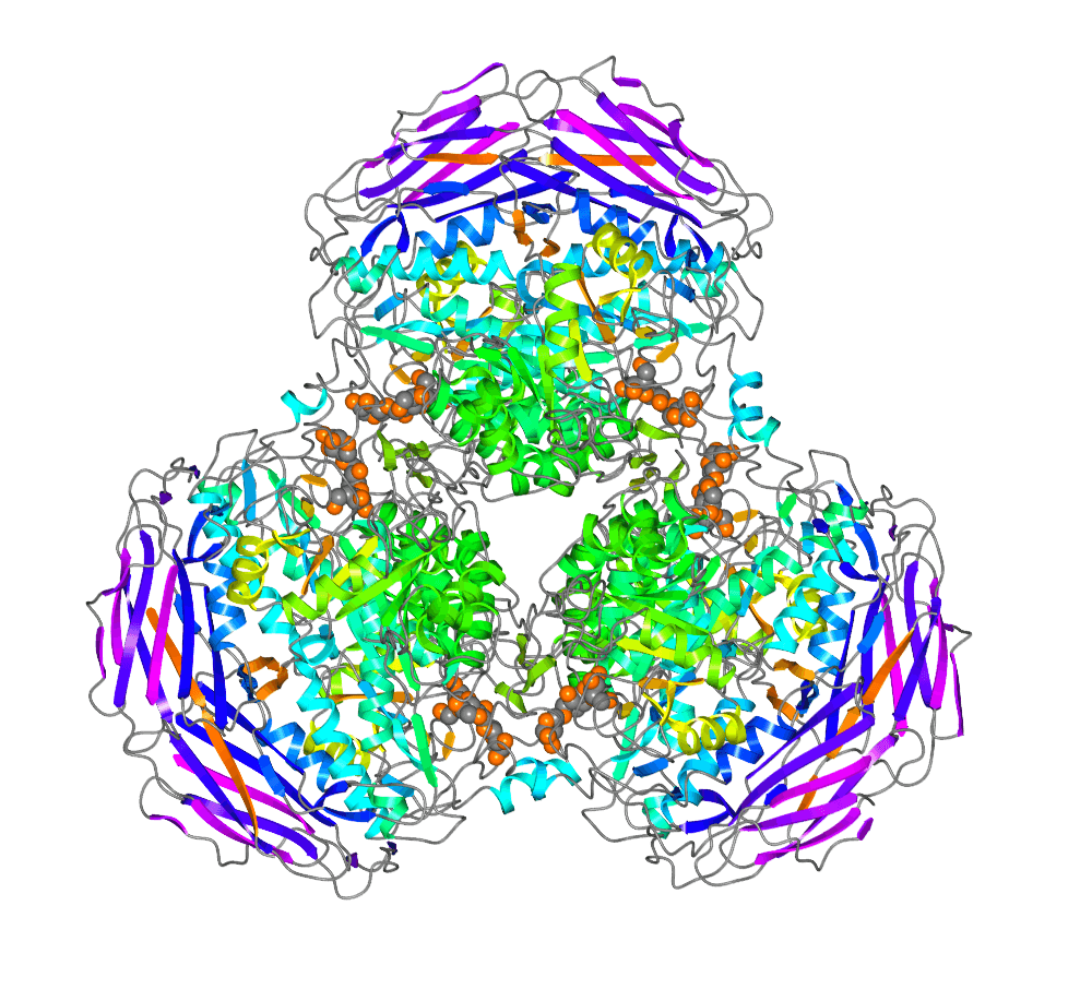 卵白表达服务先容