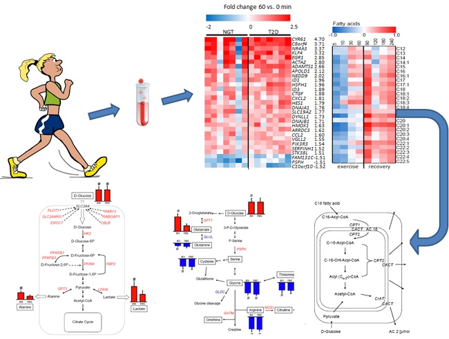 yy易游(中国)体育-米乐官方网站