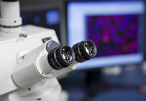 米乐YY易游载体构建服务