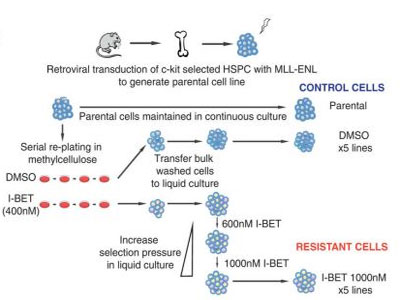 yy易游(中国)体育-米乐官方网站