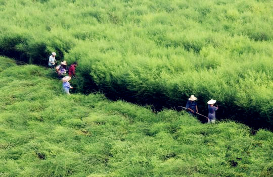 yy易游(中国)体育-米乐官方网站