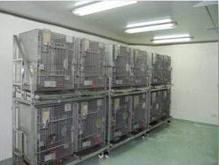 米乐YY易游猴房