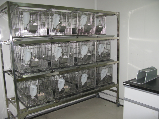 米乐YY易游普亚新动物房通过上海动管会验收