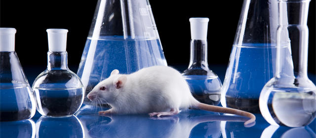 yy易游(中国)体育-米乐官方网站