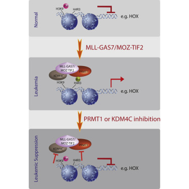 yy易游(中国)体育-米乐官方网站