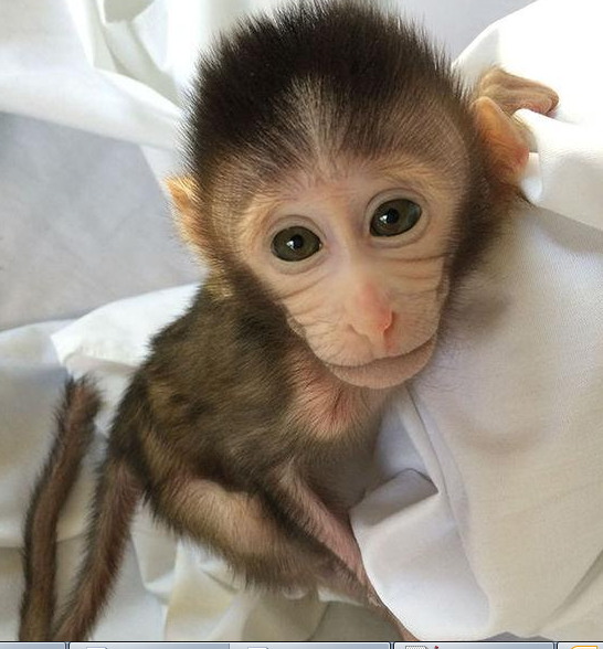 yy易游(中国)体育-米乐官方网站