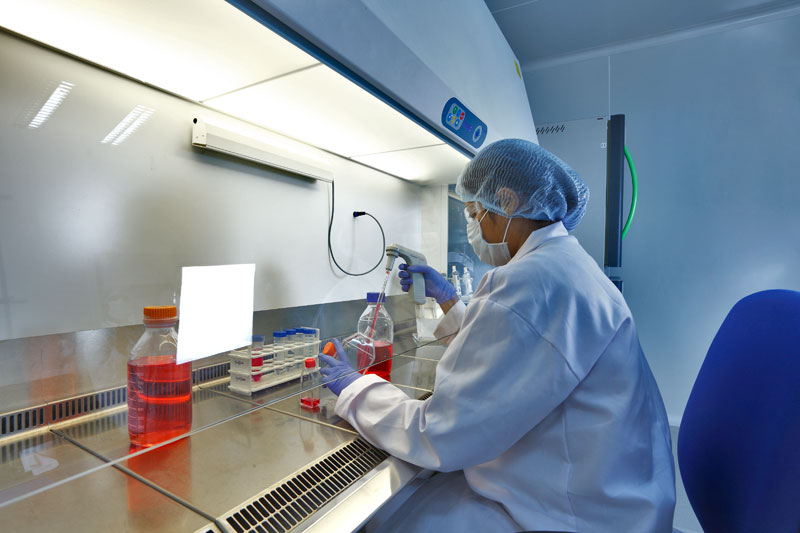 2015年度中国药品批准盘货：化药不批准率超20%，，，，，，，中药上市数目翻3倍