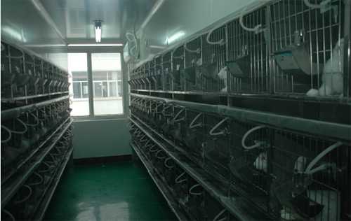 米乐YY易游实验动物房