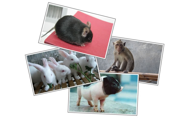 yy易游(中国)体育-米乐官方网站