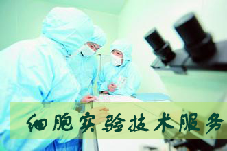 米乐YY易游细胞实验服务外包