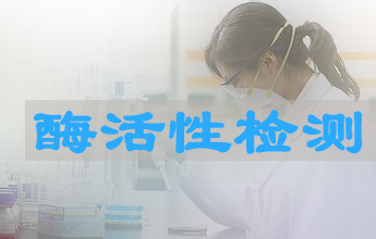 米乐YY易游酶活性测定服务