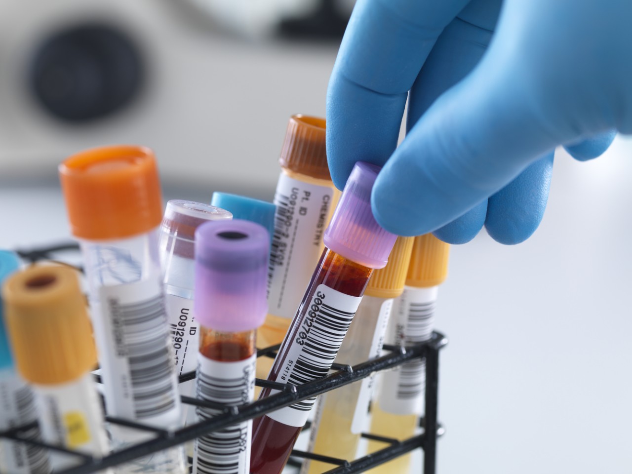 “溶出”照旧“BE”，，，，，作甚临床疗效“金标准”