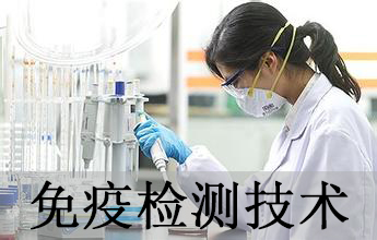 免疫检测手艺