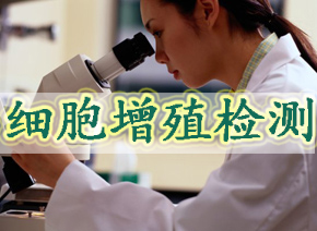 细胞增殖检测四种常用要领：EdU、CCK-8、MTT与BrdU