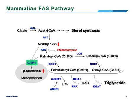 yy易游(中国)体育-米乐官方网站