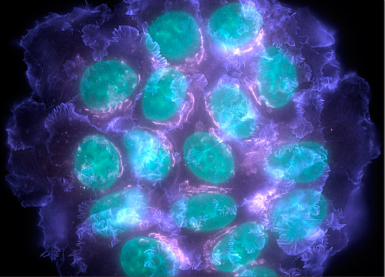 yy易游(中国)体育-米乐官方网站