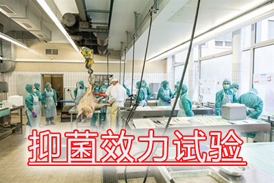 抑菌效力试验的菌悬液制备、接种及效果评价