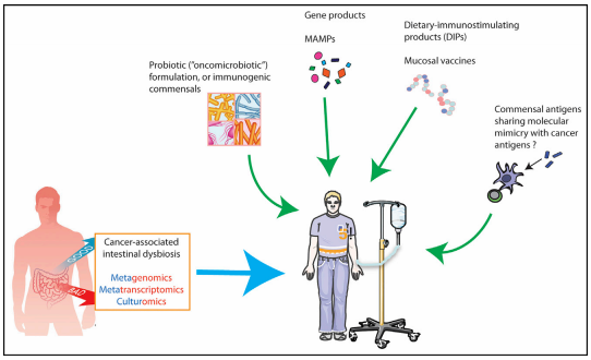 yy易游(中国)体育-米乐官方网站