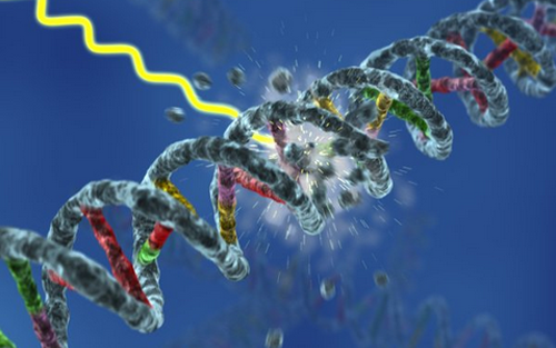 yy易游(中国)体育-米乐官方网站