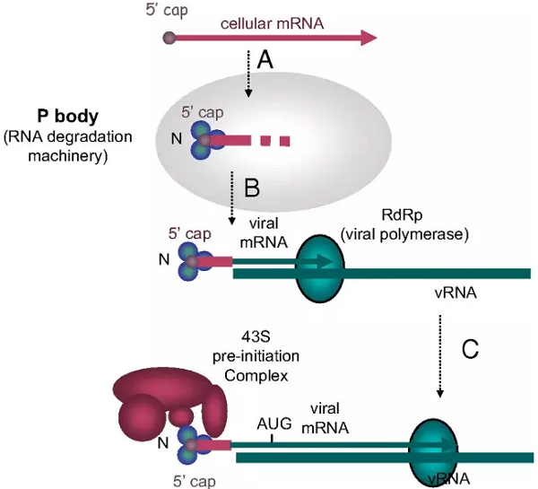 yy易游(中国)体育-米乐官方网站