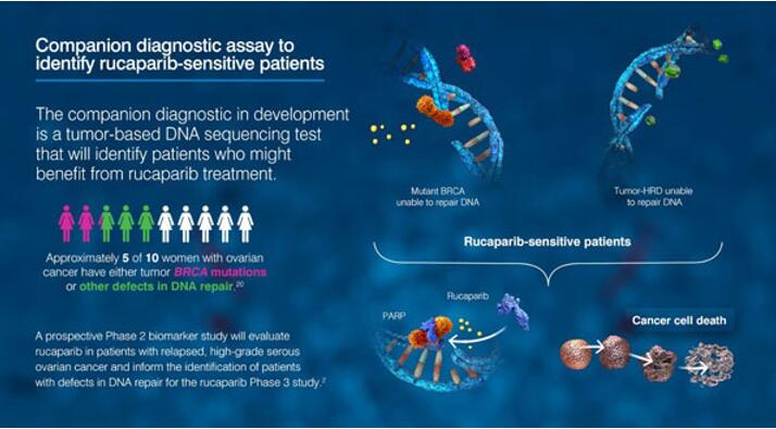 yy易游(中国)体育-米乐官方网站