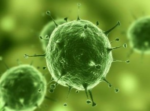 Nature：治疗实体瘤有了明确靶标，，，，，，，肿瘤干细胞确实保存