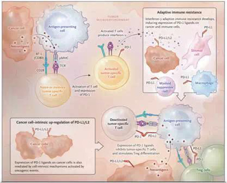 yy易游(中国)体育-米乐官方网站