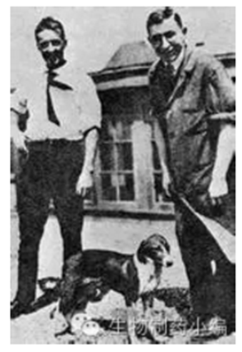 yy易游(中国)体育-米乐官方网站