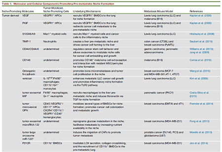 yy易游(中国)体育-米乐官方网站