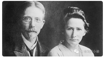 yy易游(中国)体育-米乐官方网站