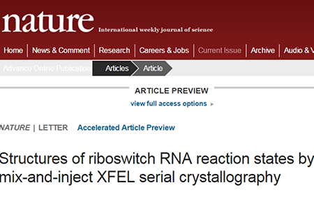 yy易游(中国)体育-米乐官方网站