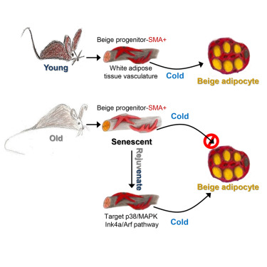 yy易游(中国)体育-米乐官方网站