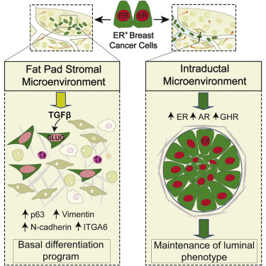 yy易游(中国)体育-米乐官方网站