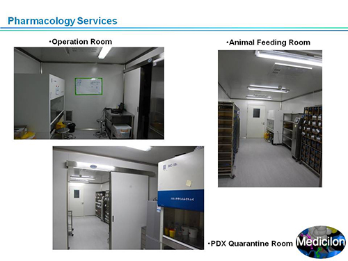 米乐YY易游副总裁汪俊博士SAPA-DC聚会演讲PPT