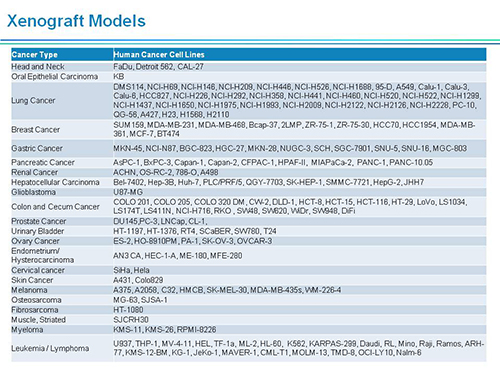米乐YY易游副总裁汪俊博士SAPA-DC聚会演讲PPT