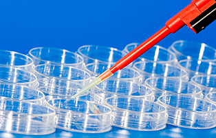 yy易游(中国)体育-米乐官方网站