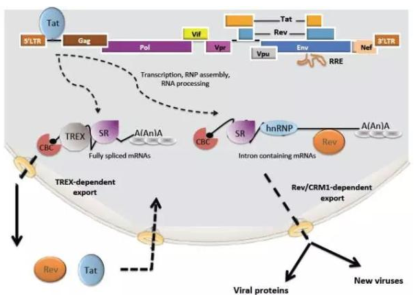 yy易游(中国)体育-米乐官方网站
