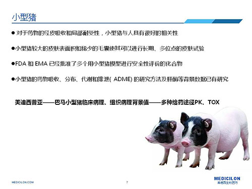 皮肤涂抹试验中，，，，，受试动物选择小型猪更好