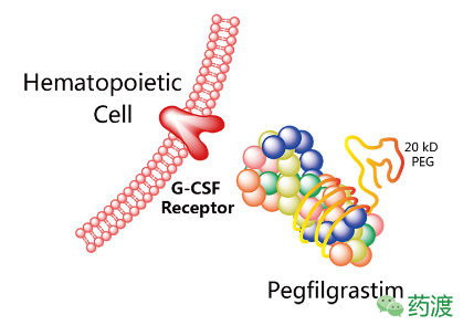 yy易游(中国)体育-米乐官方网站